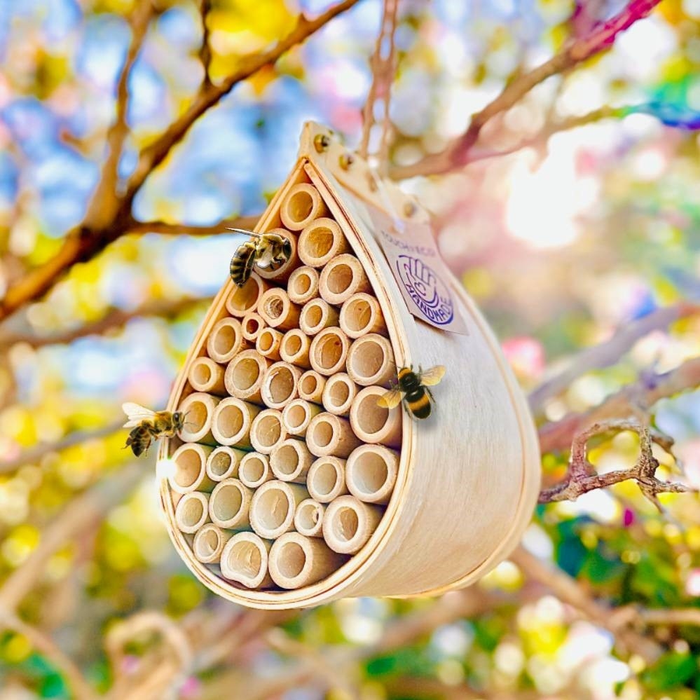 Picture of Touch of Eco 5066 Pollinator Bee House  Eco-Friendly Wooden Habitat with Bamboo Tubes for Bees&#44; Bugs&#44; and Garden Pollination  Natural Hanging Garden & Yard Decor
