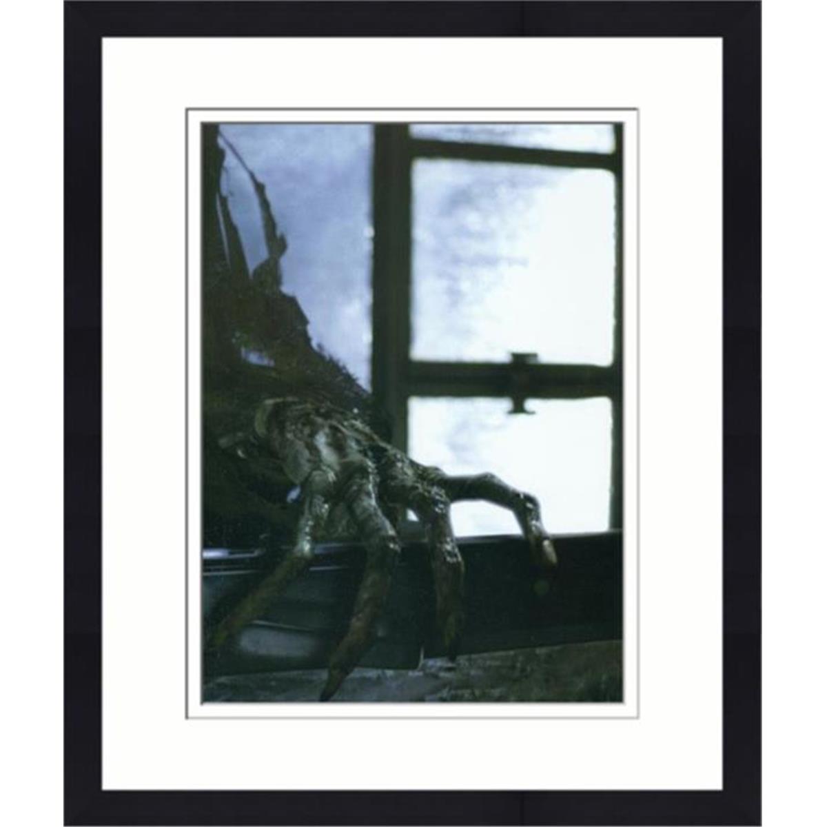 559846 8 x 10 in. Dementor Hand Matted & Framed Photo - Harry Potter No.9 -  Autograph Warehouse