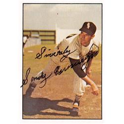 538829 Sandy Consuegra Autographed Baseball Card - Chicago White Sox, 67 1979 TCMA No.170