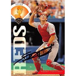 637542 Eddie Taubensee Autographed Baseball Card - Cincinnati Reds 1995 Leaf - No.23