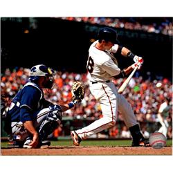 724876 8 x 10 in. Buster Posey San Francisco Giants Catcher Photofile Licensed No.1 Photo