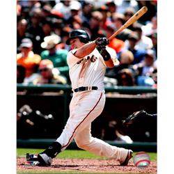 724886 8 x 10 in. Buster Posey San Francisco Giants Catcher Photofile Licensed No.3 Photo