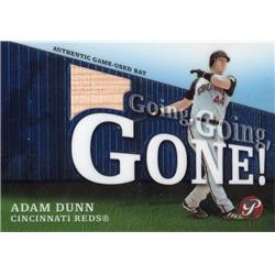 724425 Adam Dunn Player Used Bat Patch Cincinnati Reds 2004 Topps Prime Going Going Gone No.GGGAD Baseball Card
