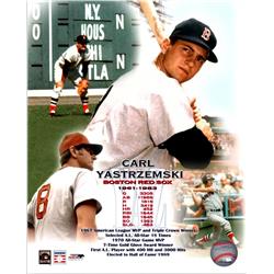 724875 8 x 10 in. Carl Yastrzemski Boston Red Sox Collage Photofile Licensed Photo