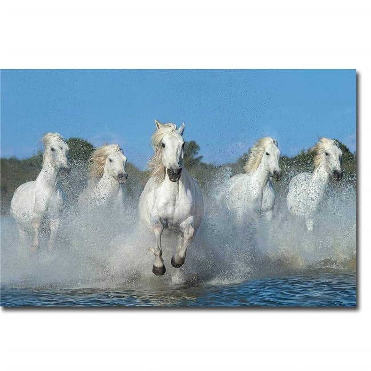 1624AT745CG The Beautiful Five by Xavier Ortega Premium Gallery-Wrapped Canvas Giclee Art - 16 x 24 x 1.5 in.