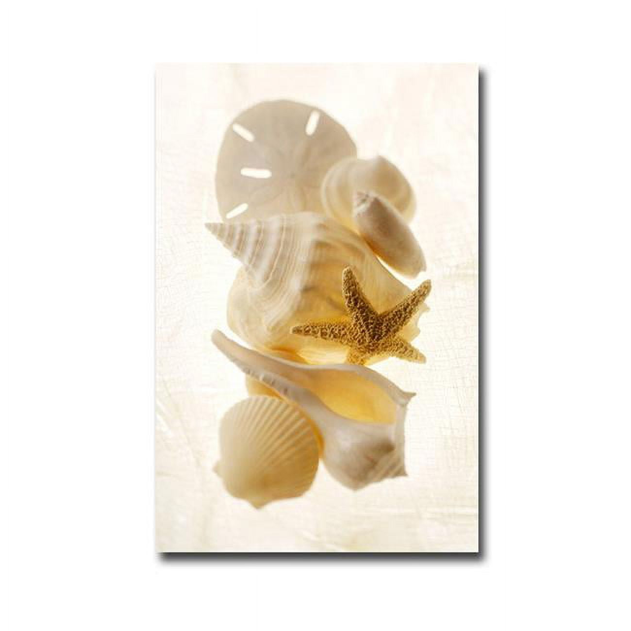 1624C966EG Captiva by Gayle & Glen Wans Premium Gallery-Wrapped Canvas Giclee Art - 16 x 24 x 1.5 in.