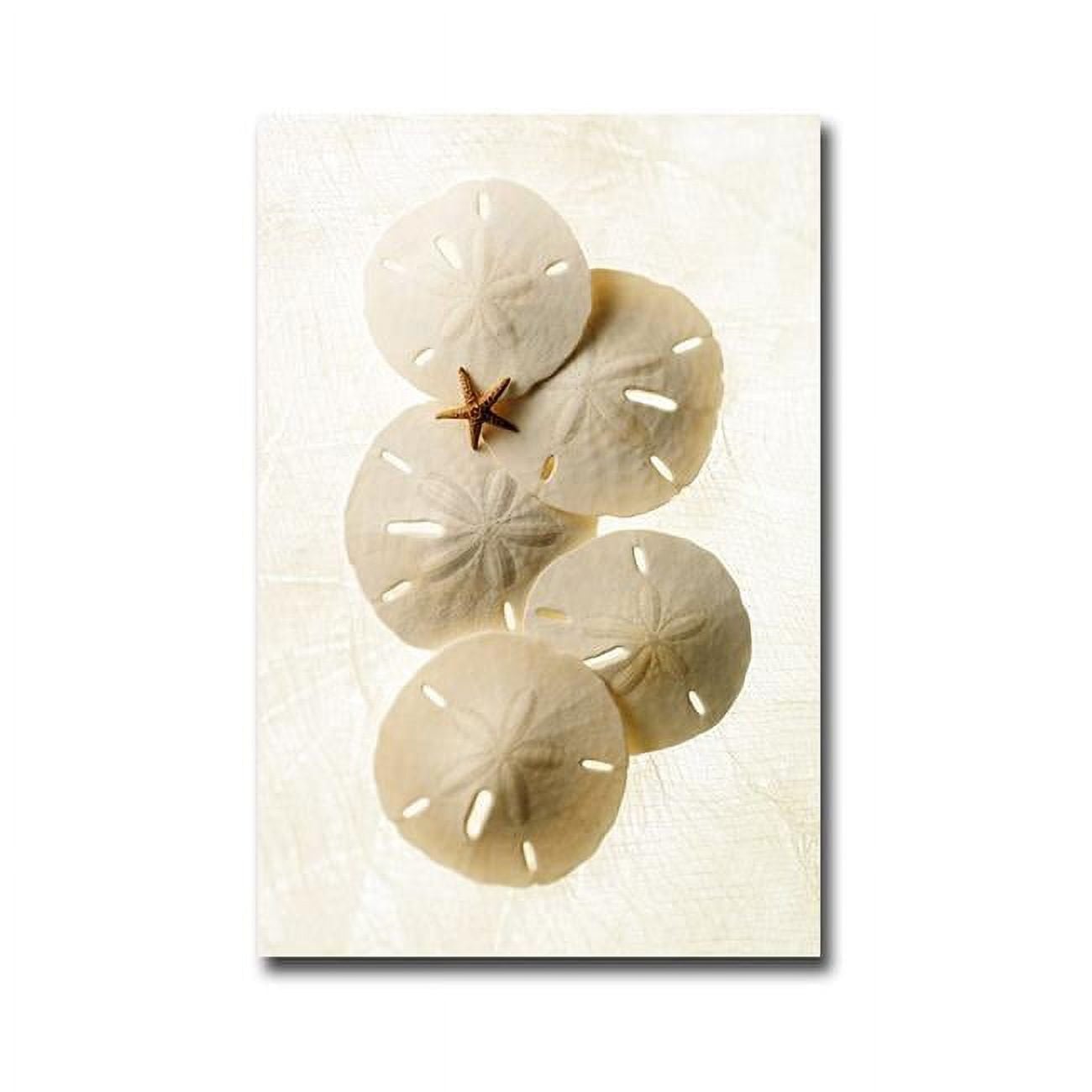 1624D966EG Captiva 2 by Gayle & Glen Wans Premium Gallery-Wrapped Canvas Giclee Art - 16 x 24 x 1.5 in.