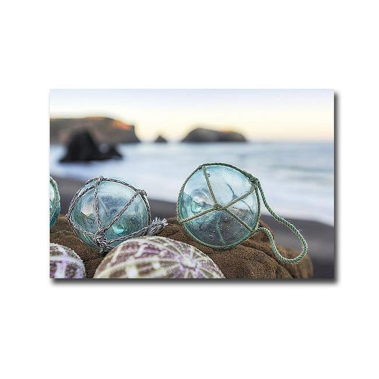 1624E871IG Crescent Beach Shells No.16 by Alan Blaustein Premium Gallery-Wrapped Canvas Giclee Art - 16 x 24 x 1.5 in.