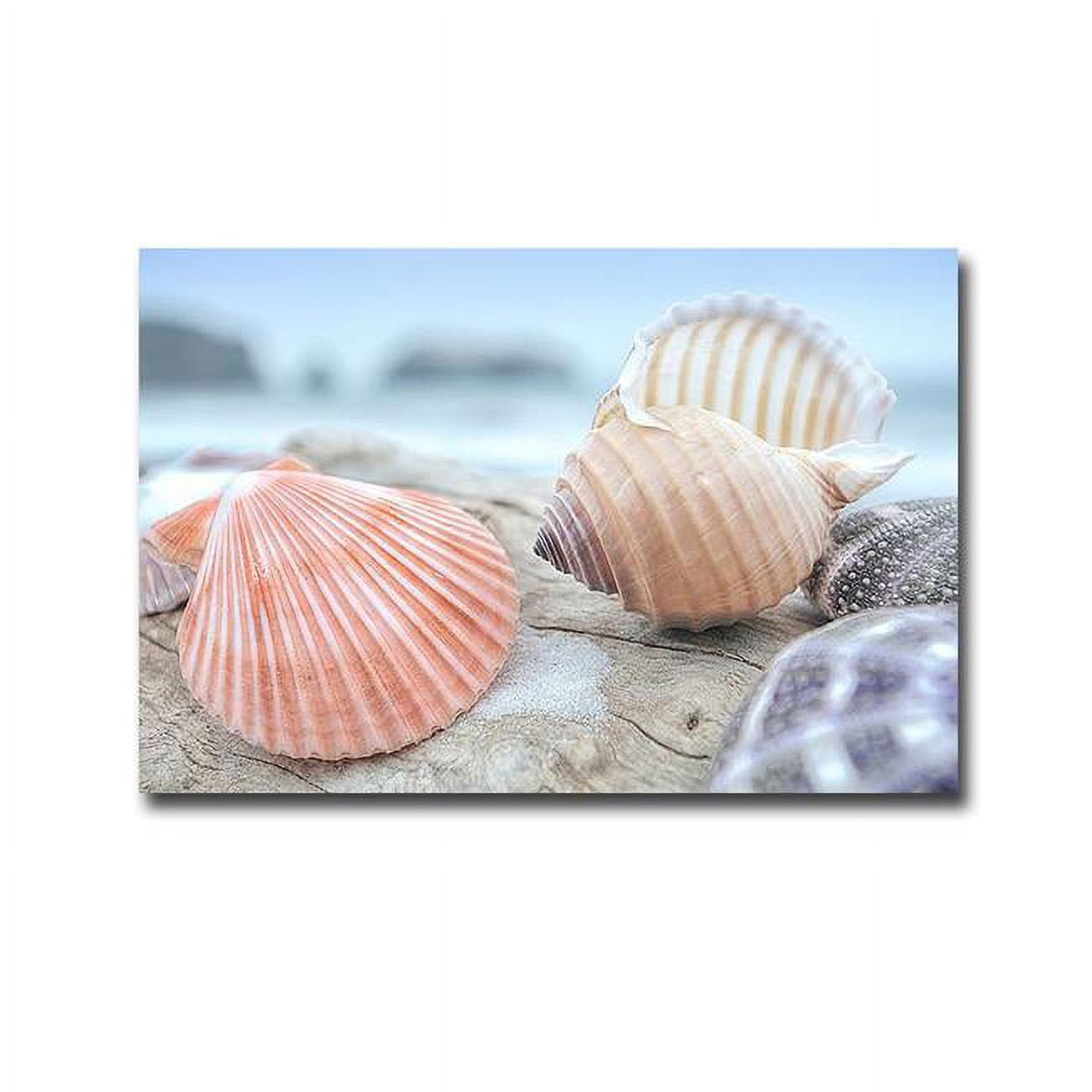 Crescent Beach Shells No.10 by Alan Blaustein Premium Oversize Gallery-Wrapped Canvas Giclee Art - 30 x 45 x 1.5 in.
