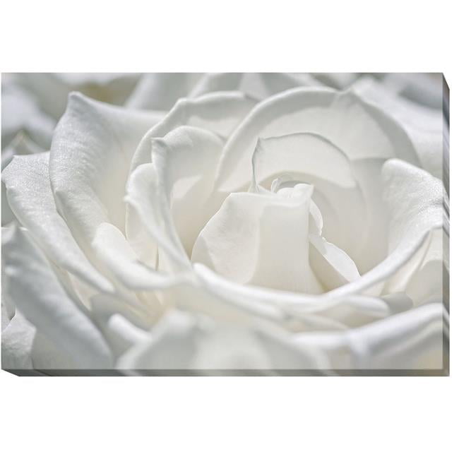 Coolness by Dina Maria Premium Oversize Gallery-Wrapped Canvas Giclee Art - 30 x 45 x 1.5 in.
