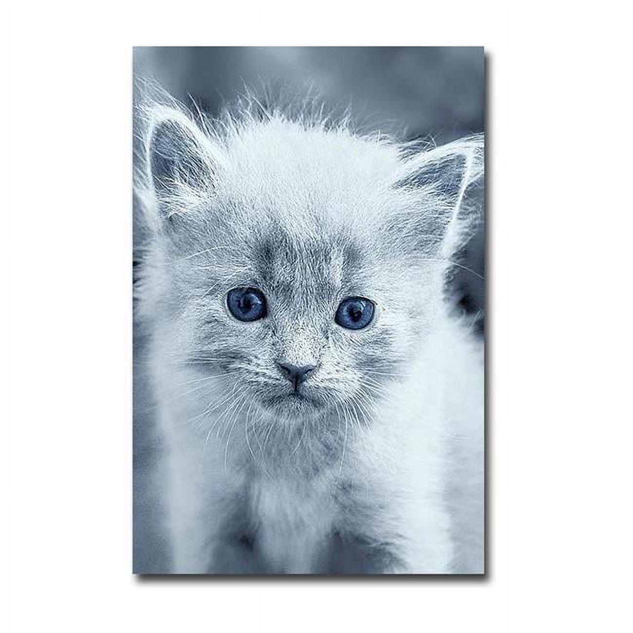 1624N267IG Blue Kitty by Tracie Louise Premium Gallery-Wrapped Canvas Giclee Art - 16 x 24 x 1.5 in.