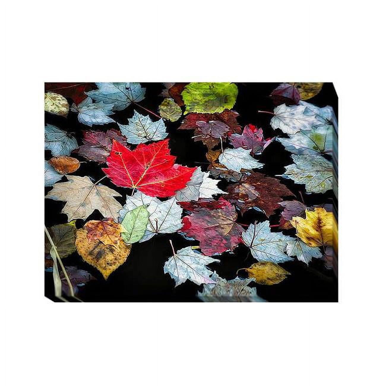 Autumn Leaves by David W. Pollard Premium Gallery-Wrapped Canvas Giclee Art - 12 x 16 x 1.5 in.