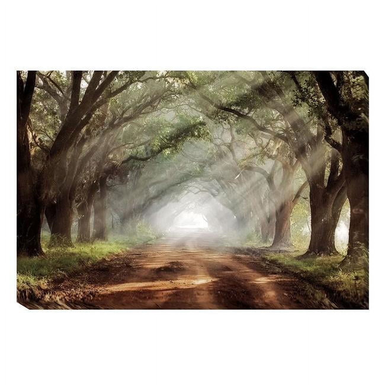 1624Q778CG Evergreen Plantation by Mike Jones Custom Gallery-Wrapped Canvas Giclee Art - 16 x 24 x 1.5 in.