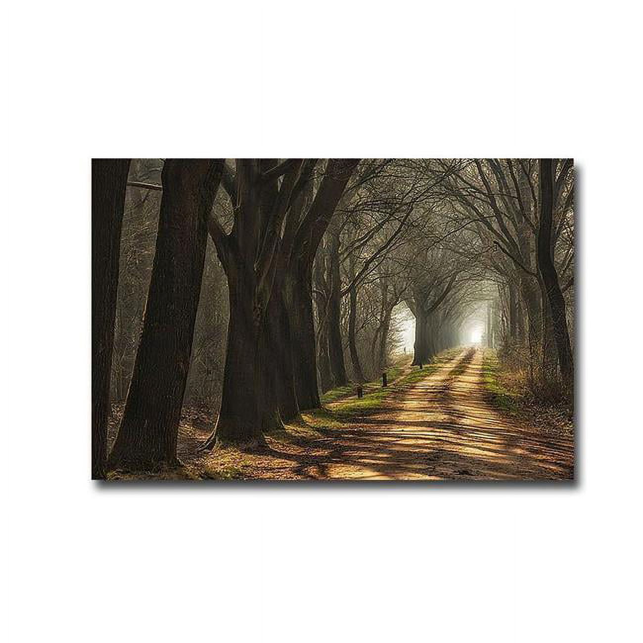 1624Q788IG Paths by Lars Van De Goor Custom Gallery-Wrapped Canvas Giclee Art - 16 x 24 x 1.5 in.