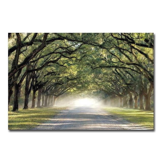 1624Q798CG Hope & Glory by Mike Jones Premium Gallery-Wrapped Canvas Giclee Art - 16 x 24 x 1.5 in.