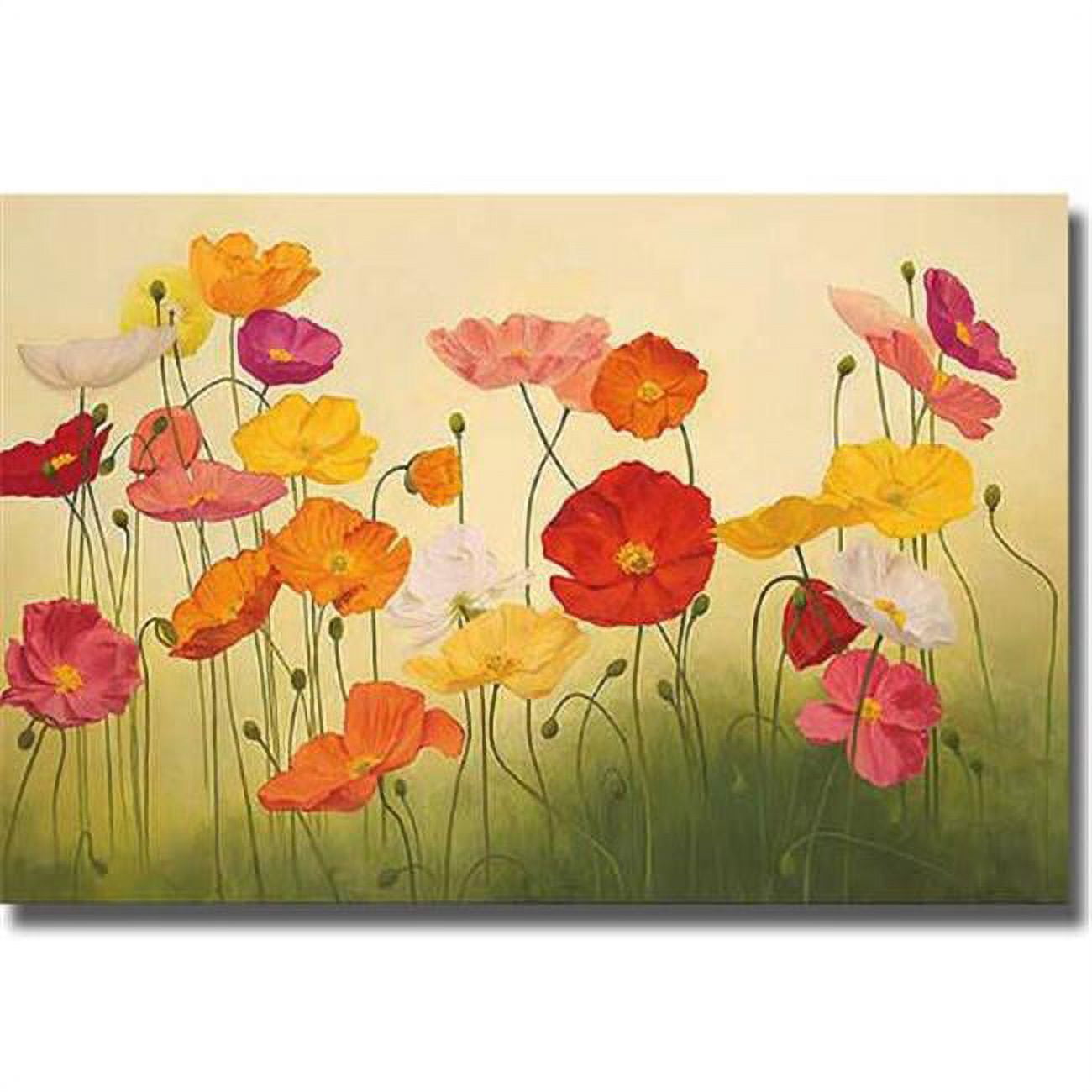 1624R384IG Sunlit Poppies by Janelle Kroner Premium Gallery-Wrapped Canvas Giclee Art - 16 x 24 x 1.5 in.