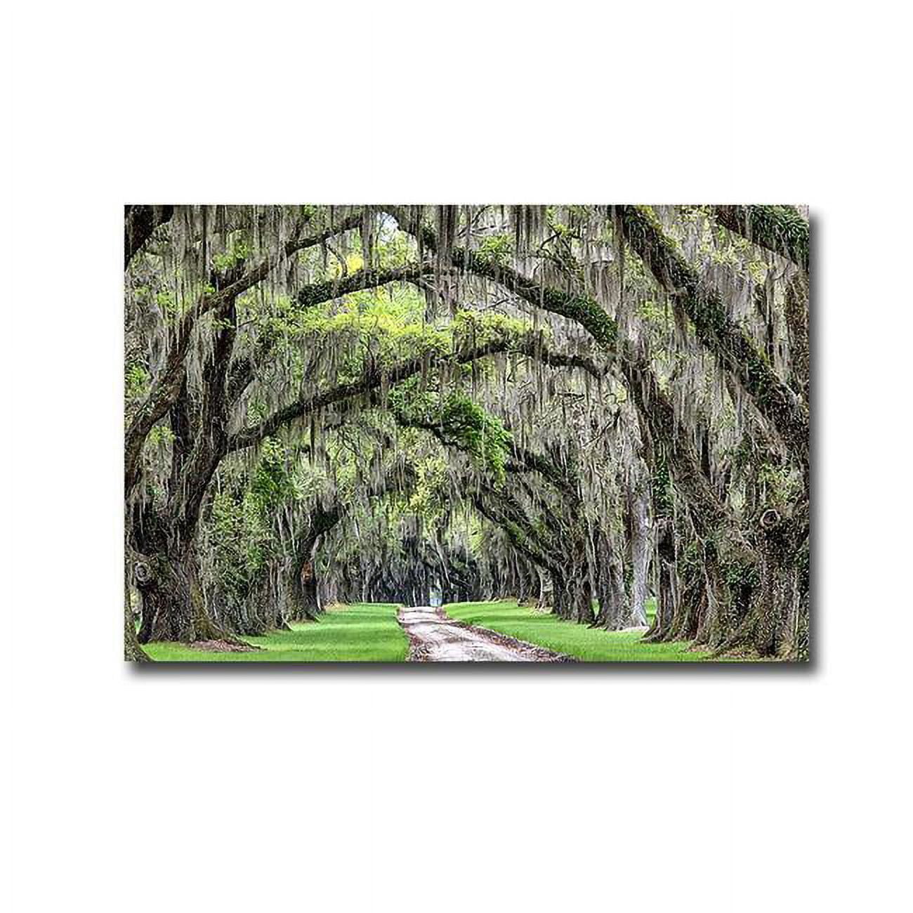 1624R778IG The Old South by Daniel Burt Premium Gallery-Wrapped Canvas Giclee Art - 16 x 24 x 1.5 in.