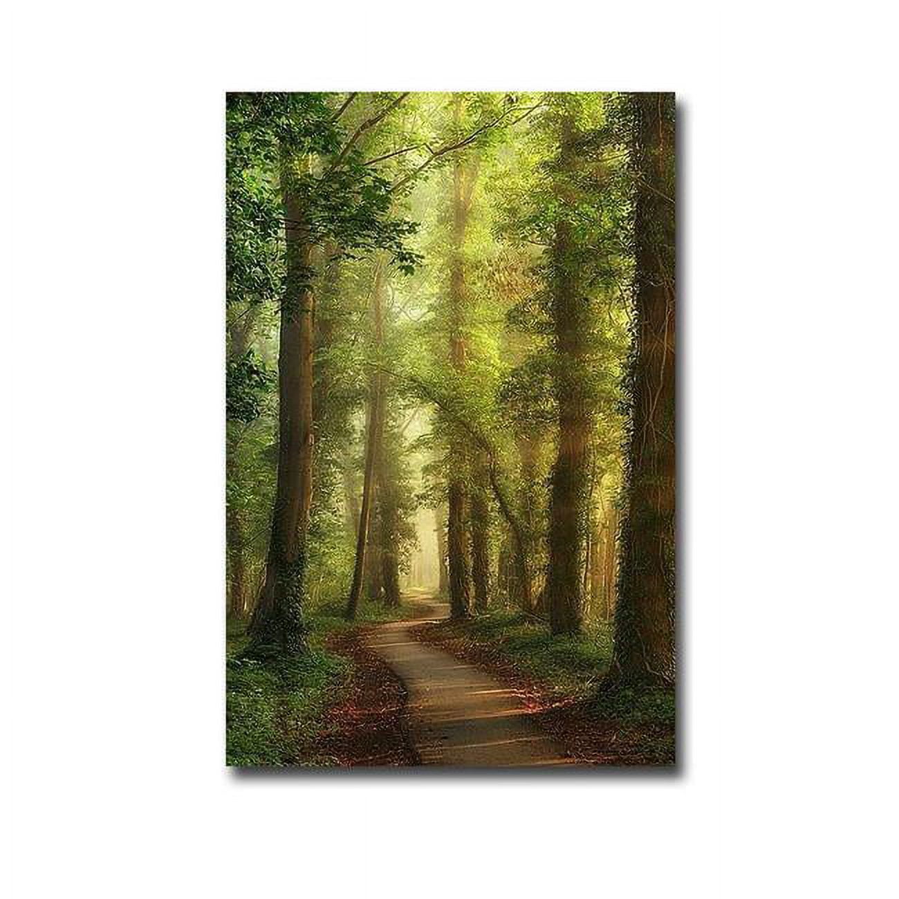 1624R788IG Snake Path by Lars Van De Goor Custom Gallery-Wrapped Canvas Giclee Art - 16 x 24 x 1.5 in.