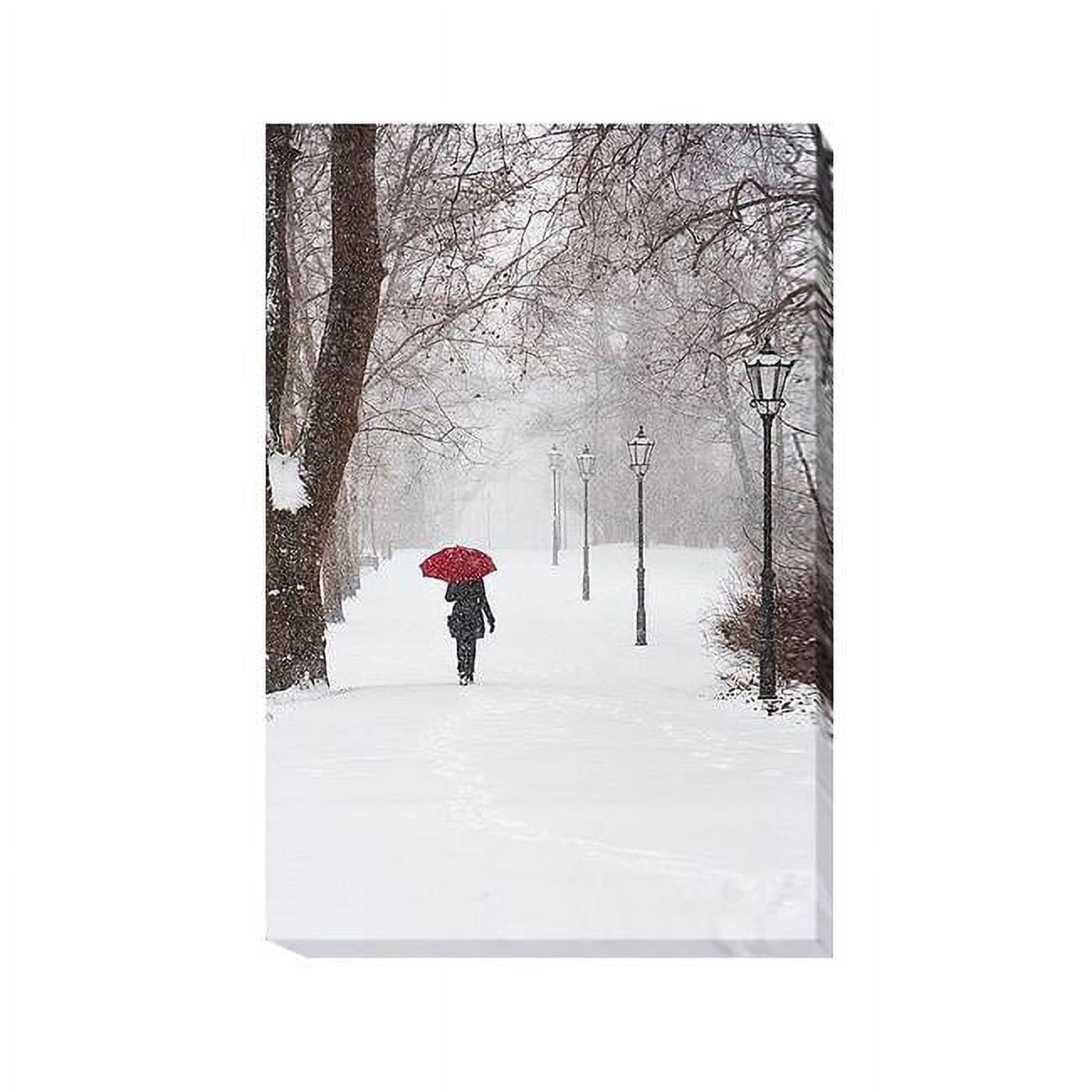 1624U534IG Winter Rose by Stefano Corso Premium Gallery-Wrapped Canvas Giclee Art - 16 x 24 x 1.5 in.