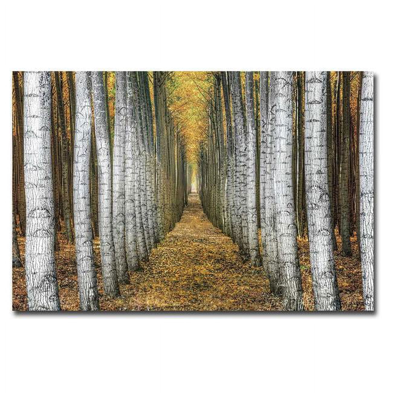 1624V778CG Tree Farm by Michael Cahill Premium Gallery-Wrapped Canvas Giclee Art - 16 x 24 x 1.5 in.