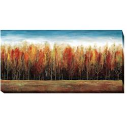 16322727CG Deep Forest by Stephane Fontaine Premium Gallery-Wrapped Canvas Giclee - 16 x 32 x 1.5 in.