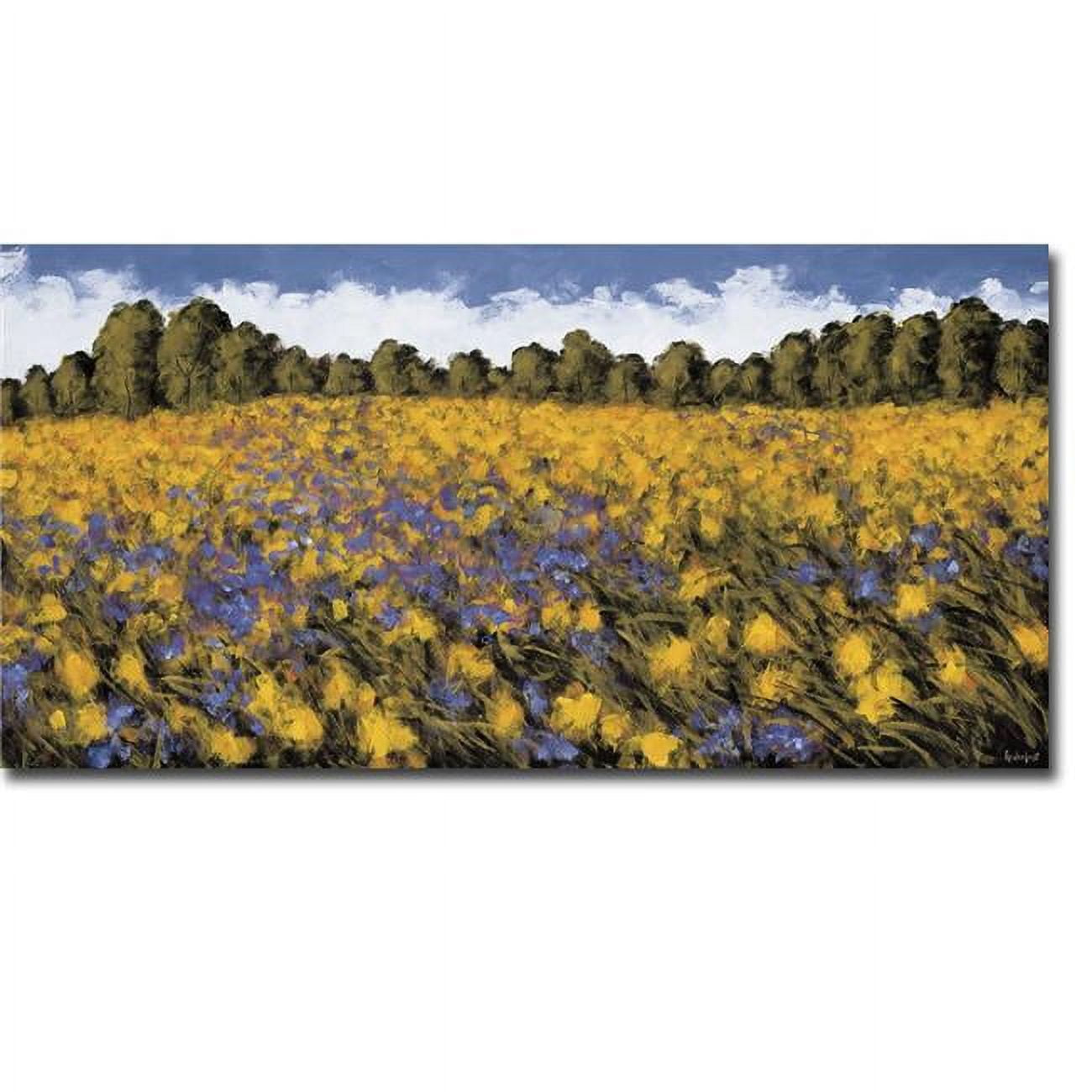 1632A104CG Fields of Gold by Wayne Leidenfrost Premium Gallery-Wrapped Canvas Giclee Art - 16 x 32 x 1.5 in.