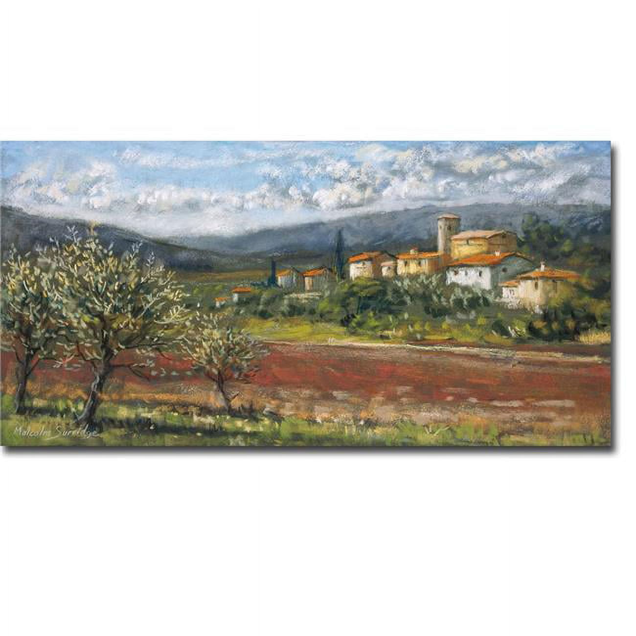 1632C419CG Hillside Olives by Malcolm Surridge Premium Gallery-Wrapped Canvas Giclee Art - 16 x 32 x 1.5 in.