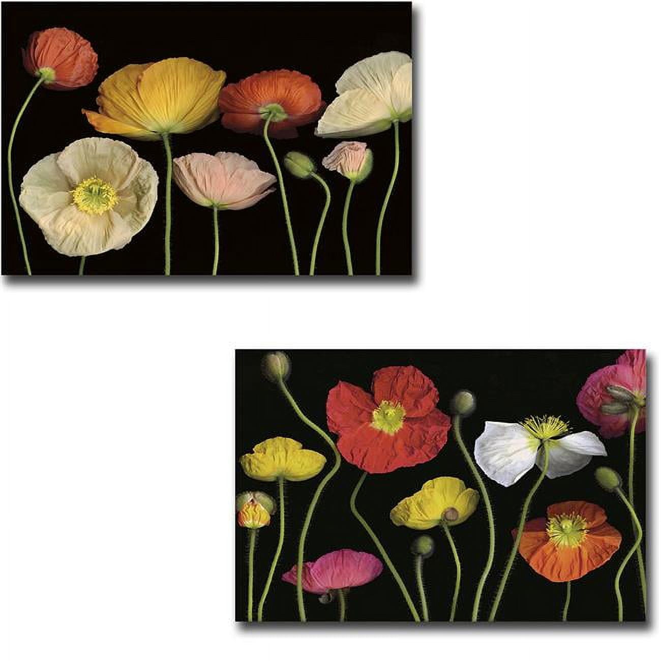 Picture of Artistic Home Gallery 1218AM830EG Poppy Garden I & II by Pip Bloomfield 2-Piece Premium Gallery Wrapped Canvas Giclee Art Set - 12 x 18 x 1.5 in.