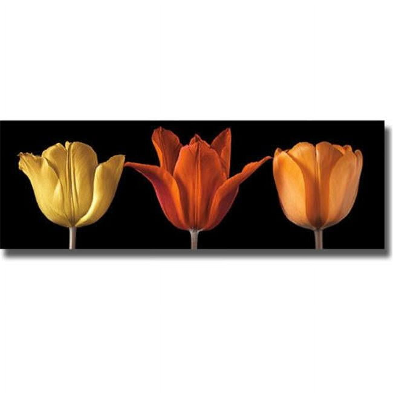Sunshine Stance by Assaf Frank Premium Oversize Gallery-Wrapped Canvas Giclee Art - 16 x 48 x 1.5 in.