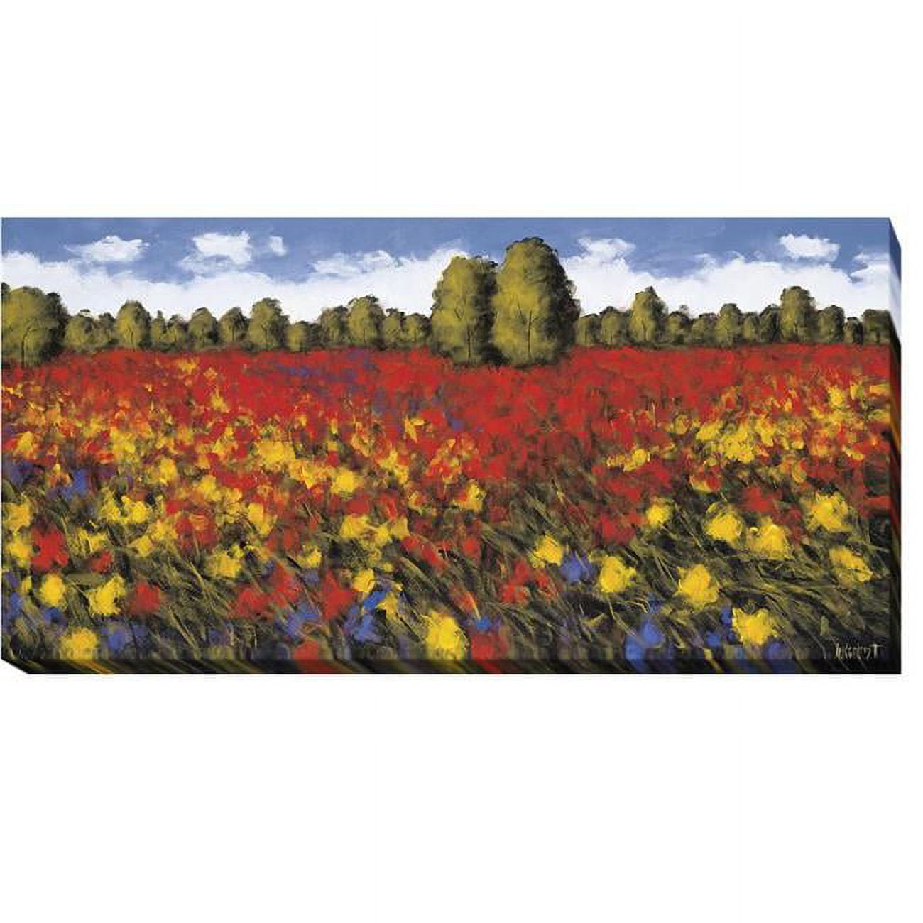 1224A103CG Summer Splendor by Wayne Leidenfrost Premium Gallery-Wrapped Canvas Giclee Art - Ready to Hang, 12 x 24 x 1.5 in.