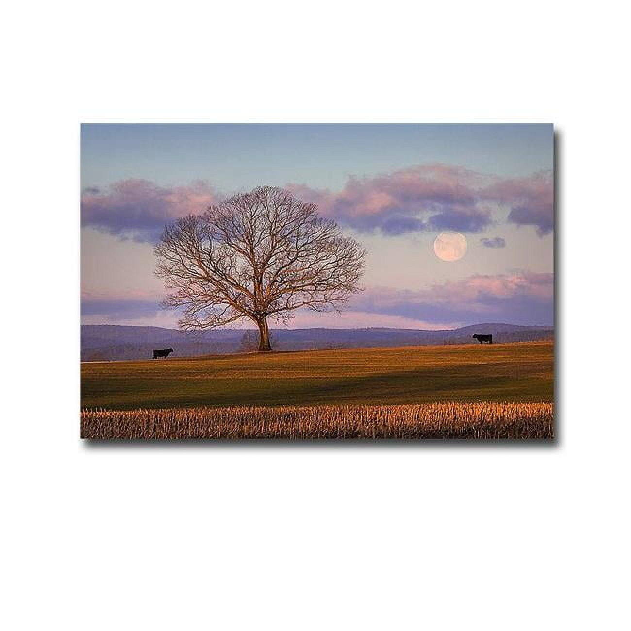 Meeting at Dawn by Patrick Zephyr Premium Gallery-Wrapped Canvas Giclee Panorama Art - Ready to Hang, 24 x 36 x 1.5 in.