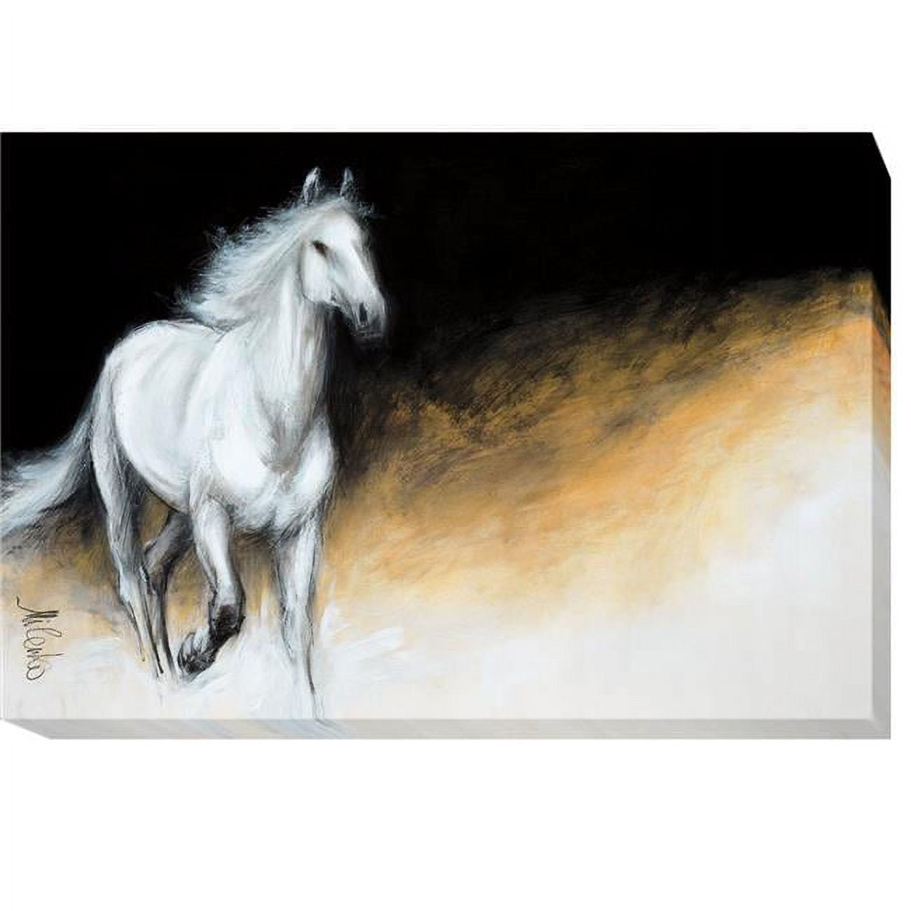 Light & Dark by Katic Milenko Premium Gallery-Wrapped Canvas Giclee Art - Ready-to-Hang, 24 x 36 x 1.5 in.