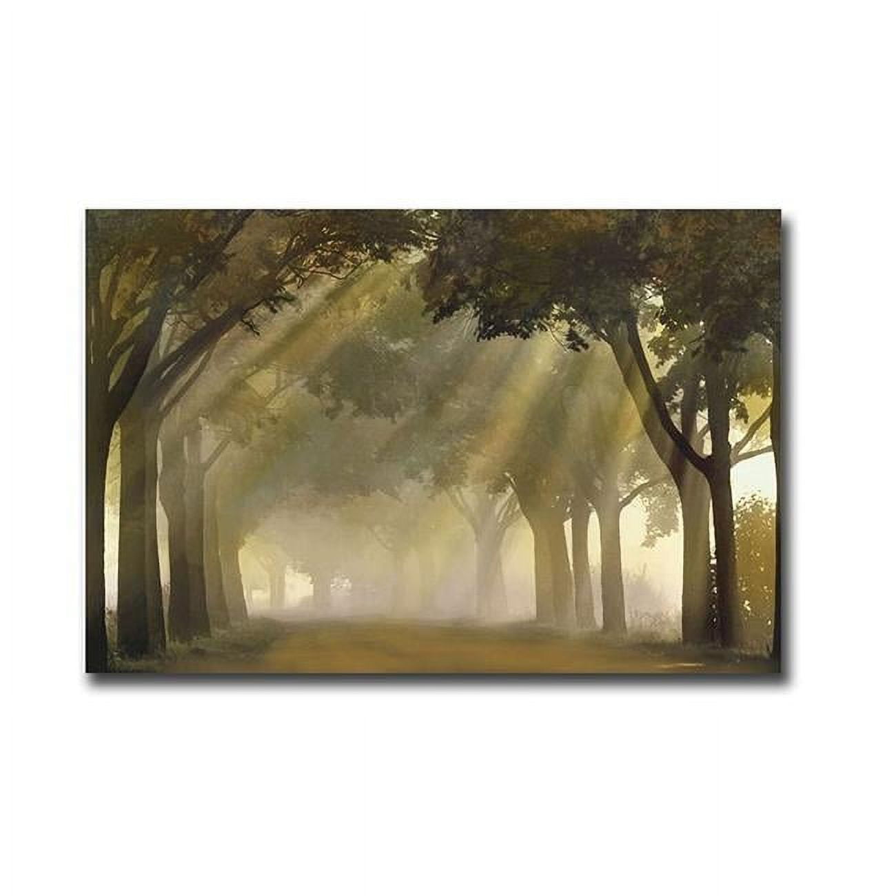 Misty Grove by Steven Mitchell Premium Gallery-Wrapped Canvas Giclee Art - Ready to Hang, 24 x 36 x 1.5 in.