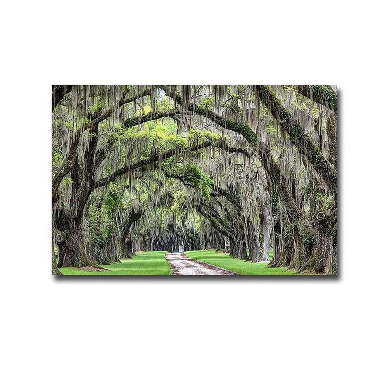 2436R778IG The Old South by Daniel Burt Premium Gallery-Wrapped Canvas Giclee Art - Ready to Hang, 24 x 36 x 1.5 in.