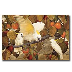 Persimmons & Cockatoos by Classic Collections Premium Gallery-Wrapped Canvas Giclee Art - Ready-to-Hang, 24 x 36 x 1.5 in.