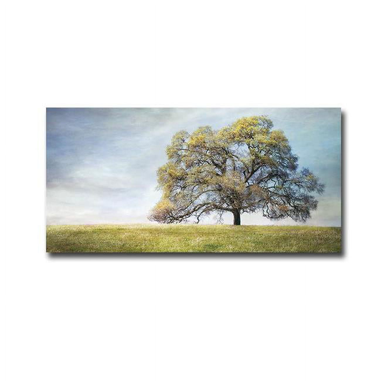 Majesty by Dianne Poinski Premium Gallery-Wrapped Canvas Giclee Art - Ready-to-Hang, 12 x 24 x 1.5 in.
