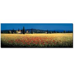 1236A108CG Tuscan Panorama by David Short Custom Gallery-Wrapped Canvas Giclee Art - Ready to Hang, 12 x 36 x 1.5 in.