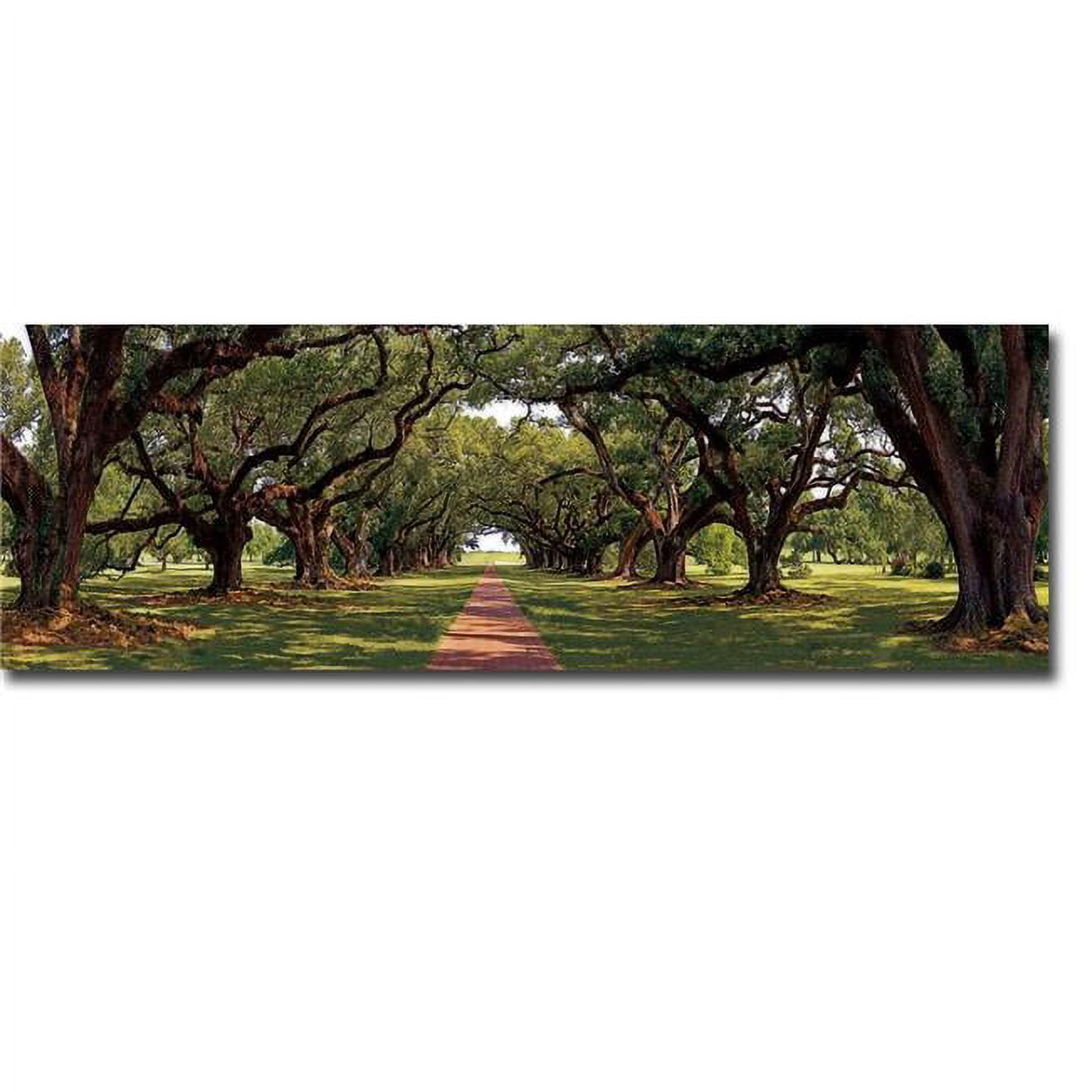 Enchanted Oaks by Mike Jones Custom Gallery-Wrapped Canvas Giclee Art - Ready to Hang, 12 x 36 x 1.5 in.