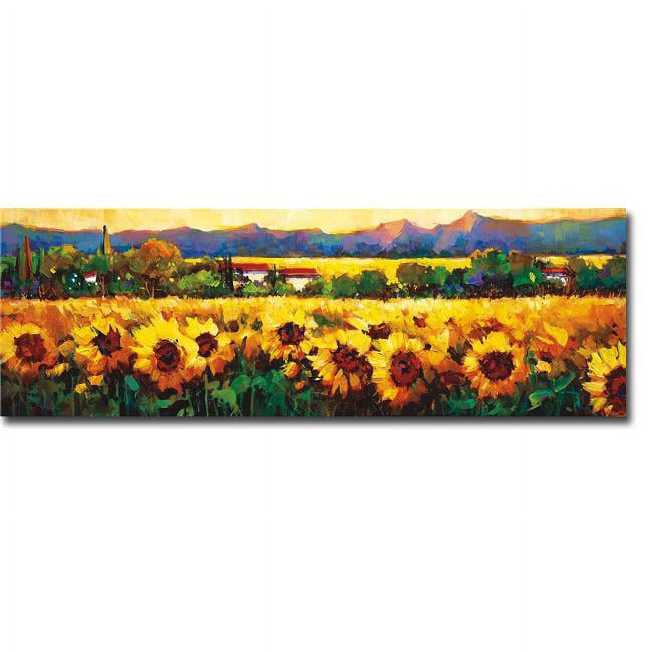 Sweeping Fields of Sunflowers by O Toole Premium Gallery-Wrapped Canvas Giclee Art - Ready-to-Hang, 12 x 36 x 1.5 in.