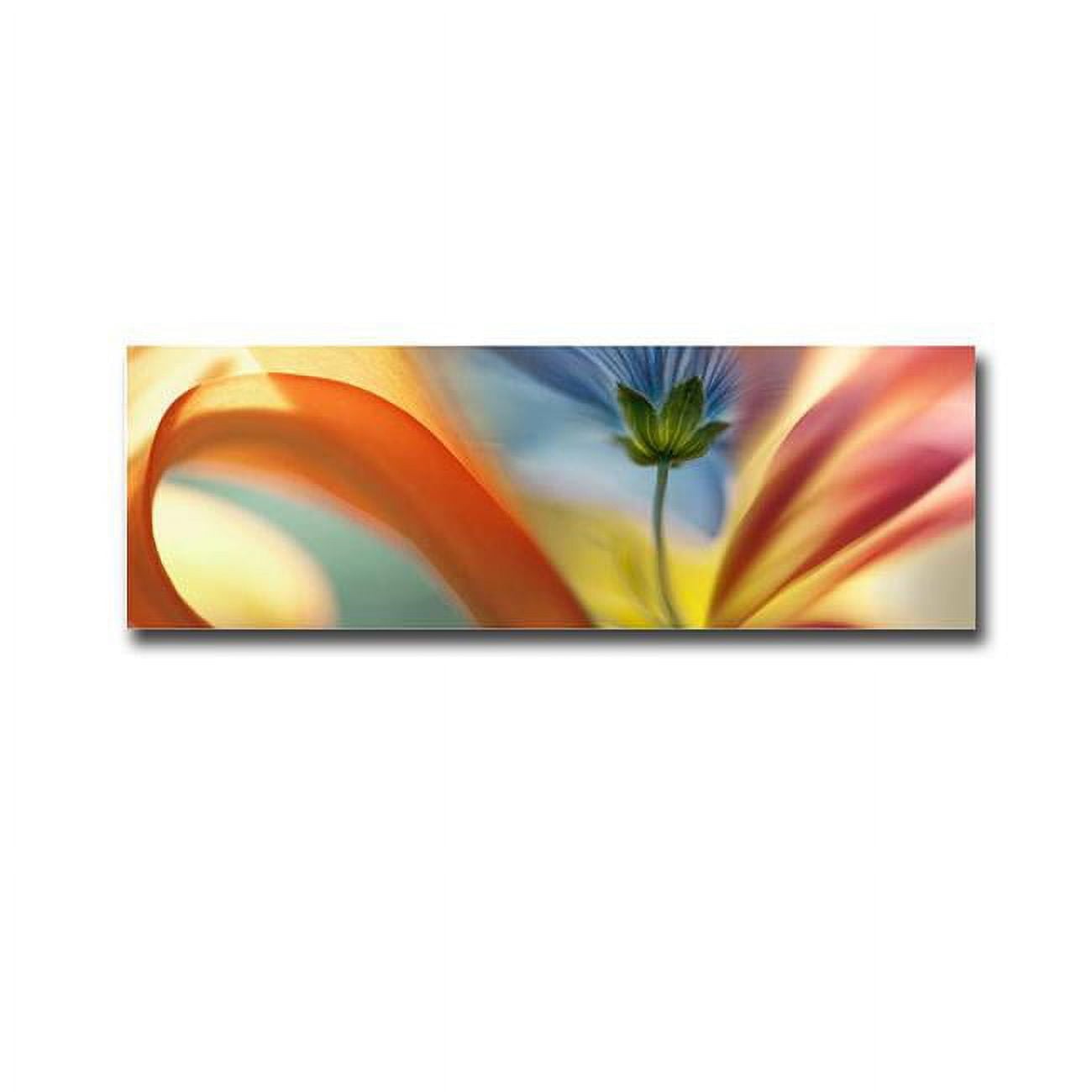 Soft Colorburst by Jonathan Nourok Premium Gallery-Wrapped Canvas Giclee Art - Ready-to-Hang, 12 x 36 x 1.5 in.