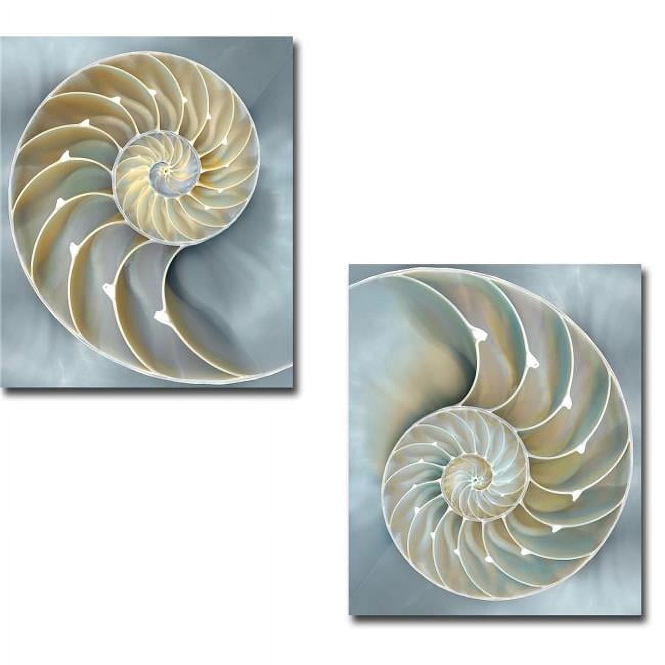 Nautilus in Blue I & II by Caroline Kelly Gallery-Wrapped Canvas Giclee Art Set - Ready to Hang, 18 x 15 in.
