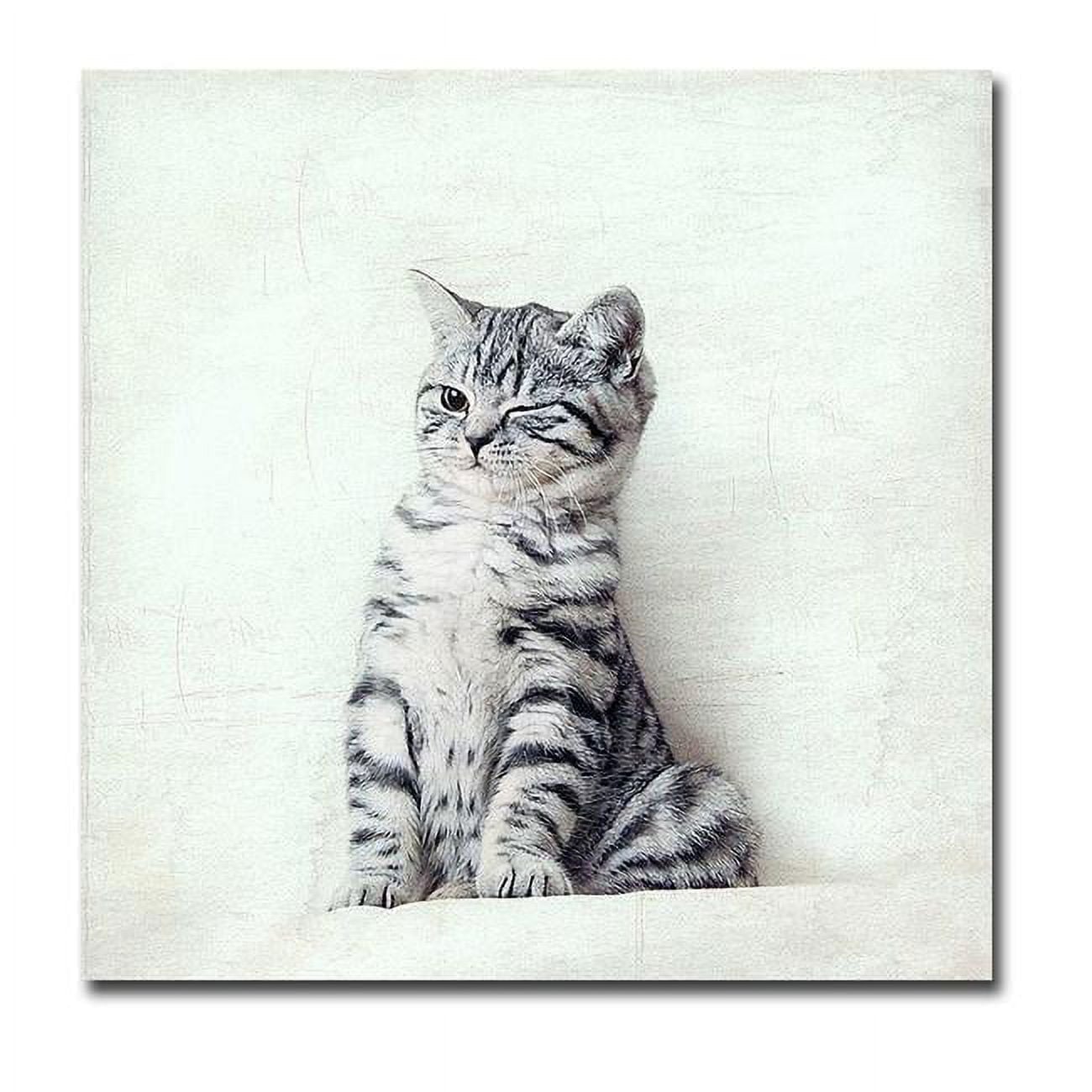 Cat Winks by Nadia Attura Premium Gallery-Wrapped Canvas Giclee Art - Ready-to-Hang, 16 x 16 x 1.5 in.