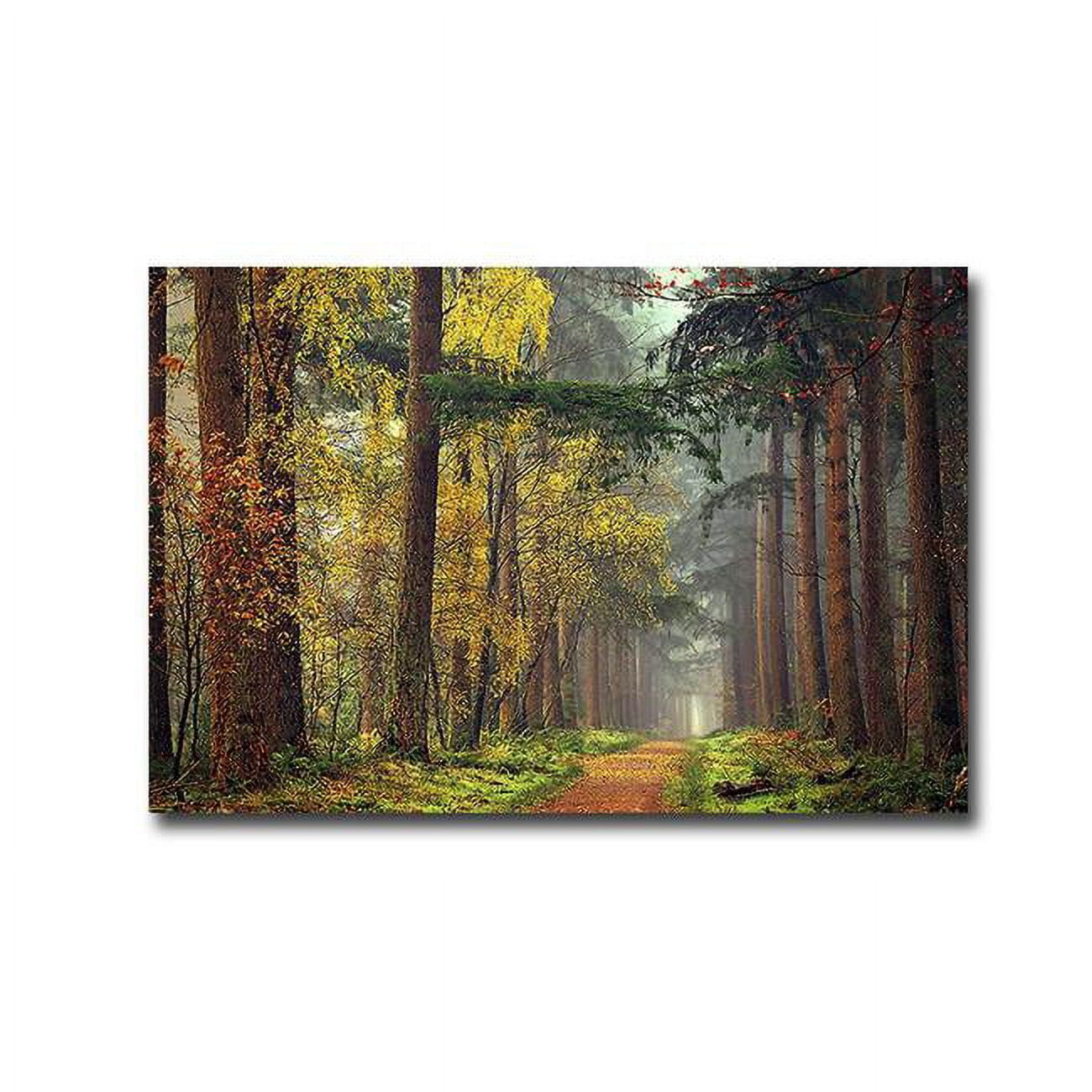 Colors of The Forest by Lars Van De Goor Premium Gallery-Wrapped Canvas Giclee Art - Ready-to-Hang, 24 x 36 x 1.5 in.