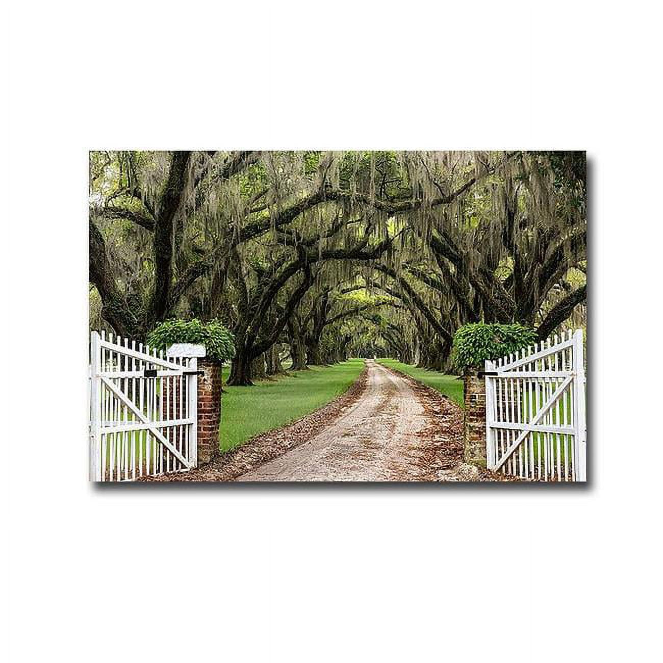 Plantation Road by Daniel Burt Premium Gallery-Wrapped Canvas Giclee Art - Ready to Hang, 24 x 36 x 1.5 in.