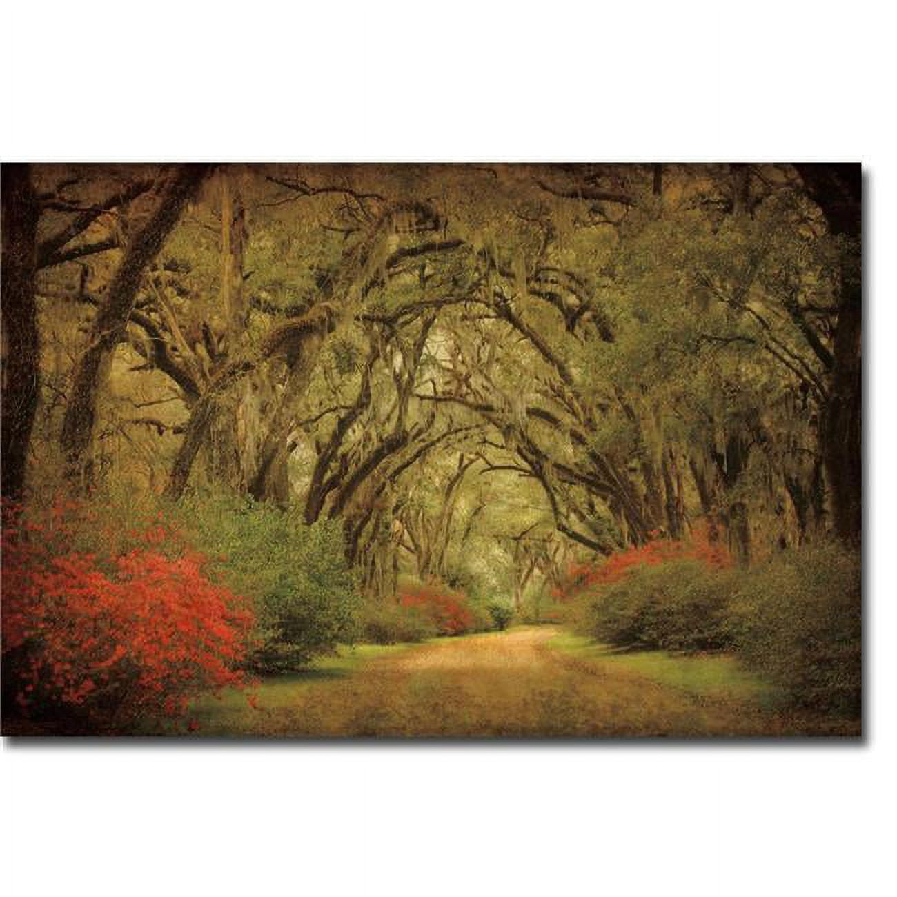 Road Lined with Oaks & Flowers by William Guion Premium Gallery-Wrapped Canvas Giclee Art - Ready-to-Hang, 24 x 36 x 1.5 in.
