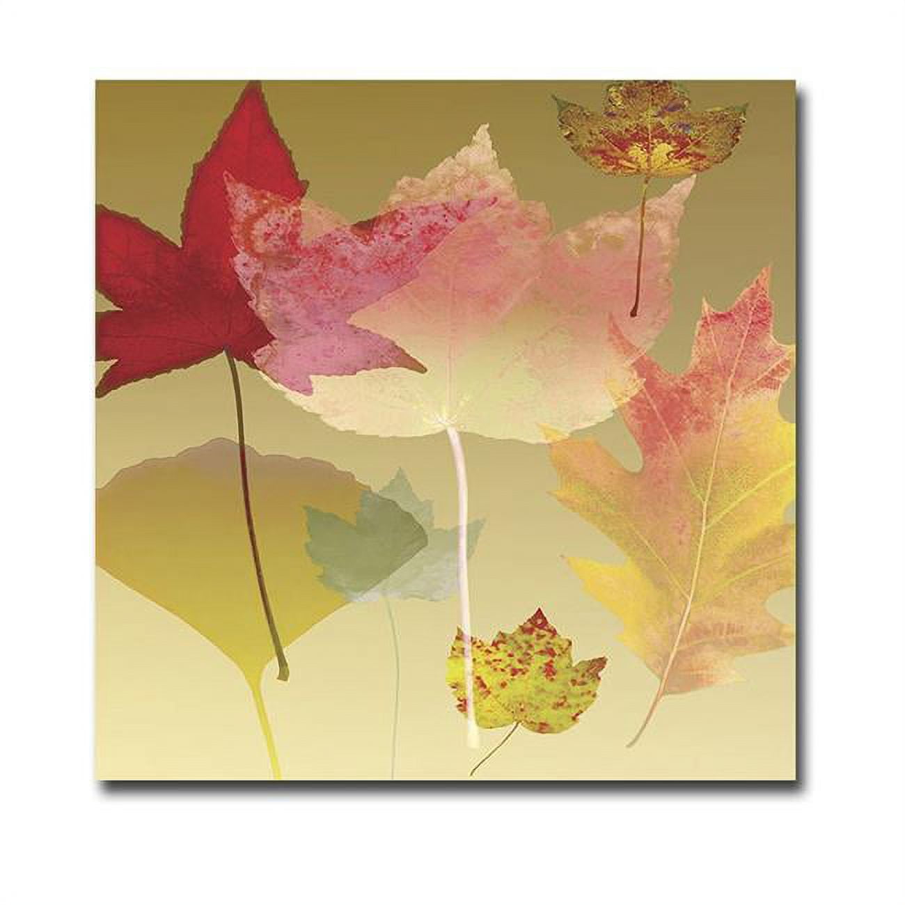 3030A709EG Leaf Counterpoint by Robert Mertens Premium Gallery Wrapped Canvas Giclee Art - Ready to Hang, 30 x 30 x 1.5 in.