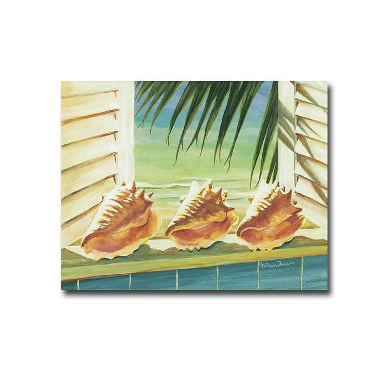 1620347BG Conched Out by Kathleen Denis Premium Gallery-Wrapped Canvas Giclee Art - Ready-to-Hang, 16 x 20 in.