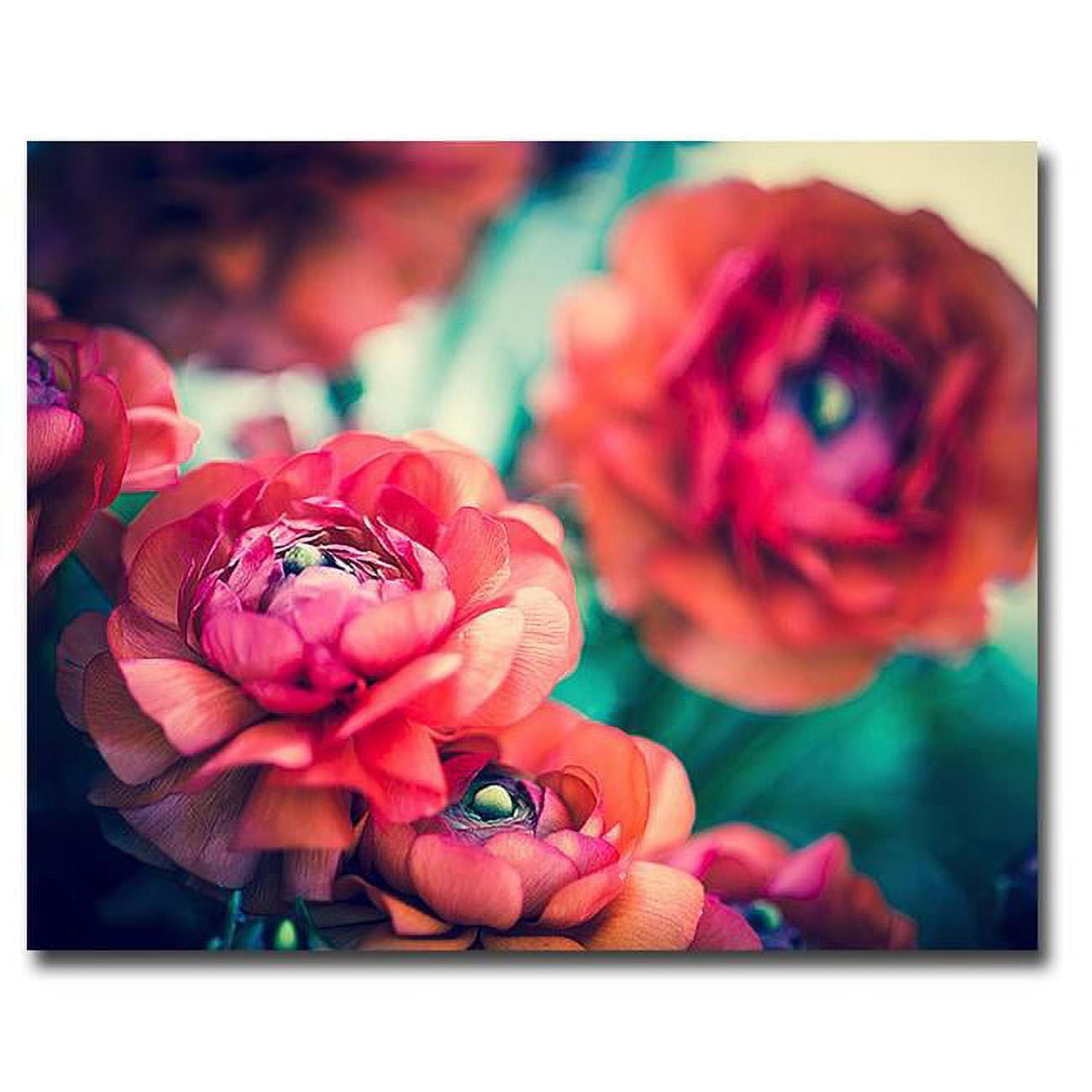 Ranunculi by Sonja Quintero Premium Gallery-Wrapped Canvas Giclee Art - Ready-to-Hang, 16 x 20 x 1.5 in.