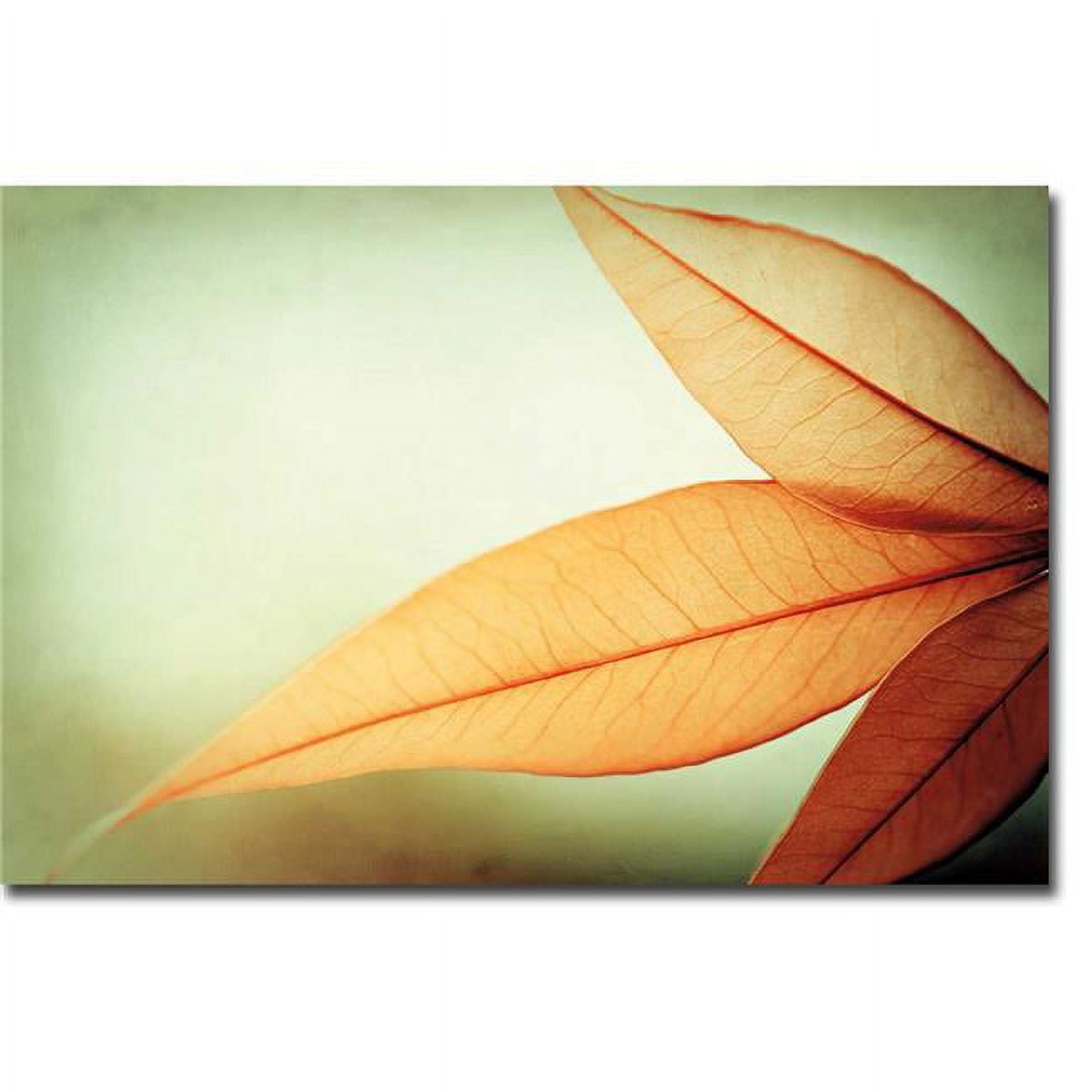 Grace by Carolyn Cochrane Premium Gallery Wrapped Canvas Giclee Art - Medium, Ready to Hang, 16 x 24 x 1.5 in.
