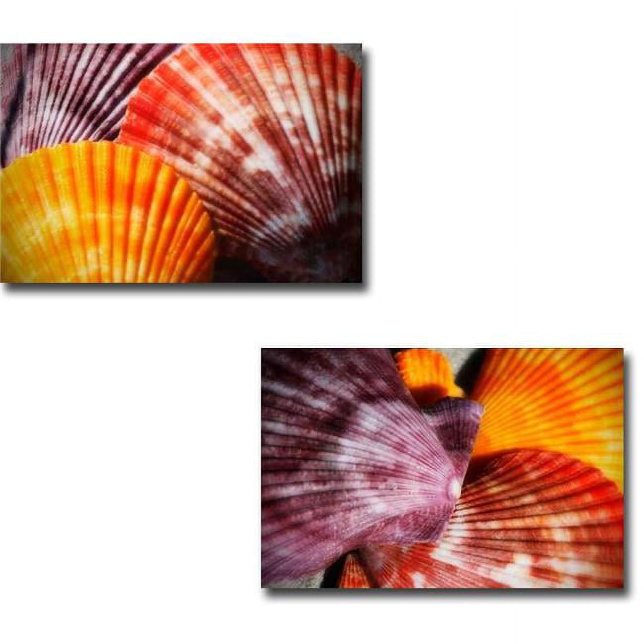 Scallops I & II by Alan Hausenflock Premium Gallery Wrapped Canvas Giclee Art Set - Ready-to-Hang, 16 x 24 x 1.5 in.